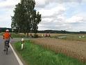 090812wilflingen (05)